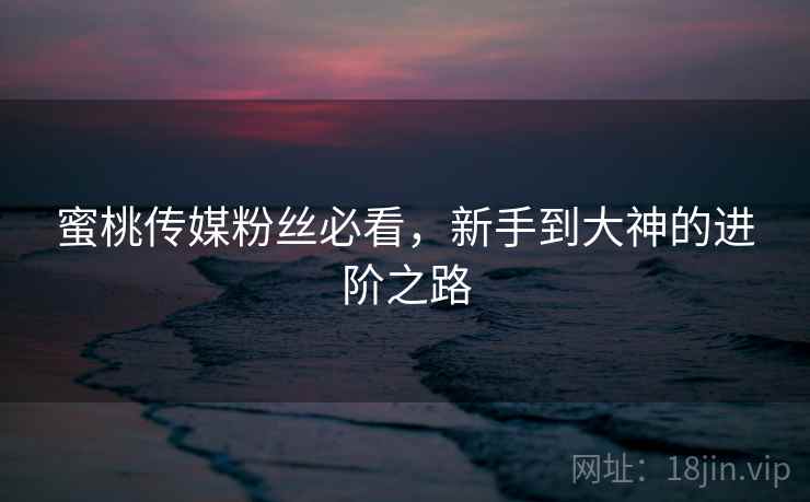 蜜桃传媒粉丝必看，新手到大神的进阶之路