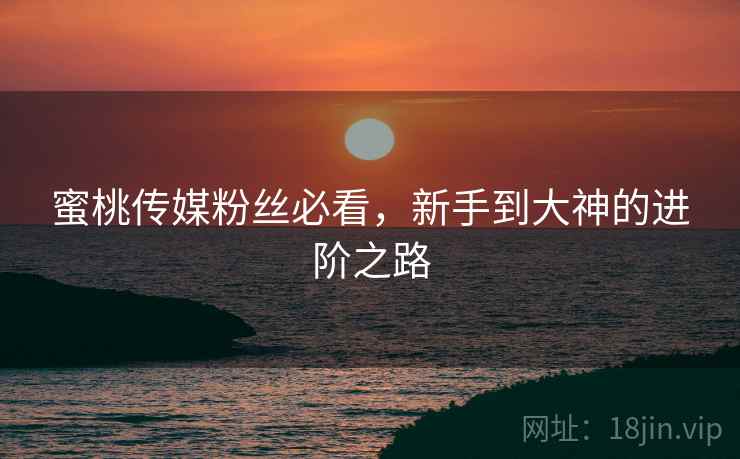 蜜桃传媒粉丝必看，新手到大神的进阶之路