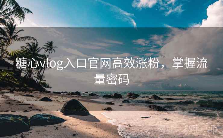 糖心vlog入口官网高效涨粉，掌握流量密码