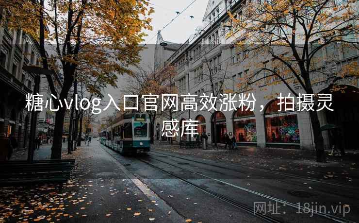糖心vlog入口官网高效涨粉，拍摄灵感库